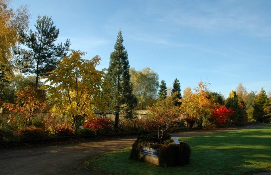 Autumn colour Autumn colour